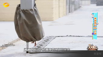 蘇州火了 3d打印的房子真的來了,三天就能建一套